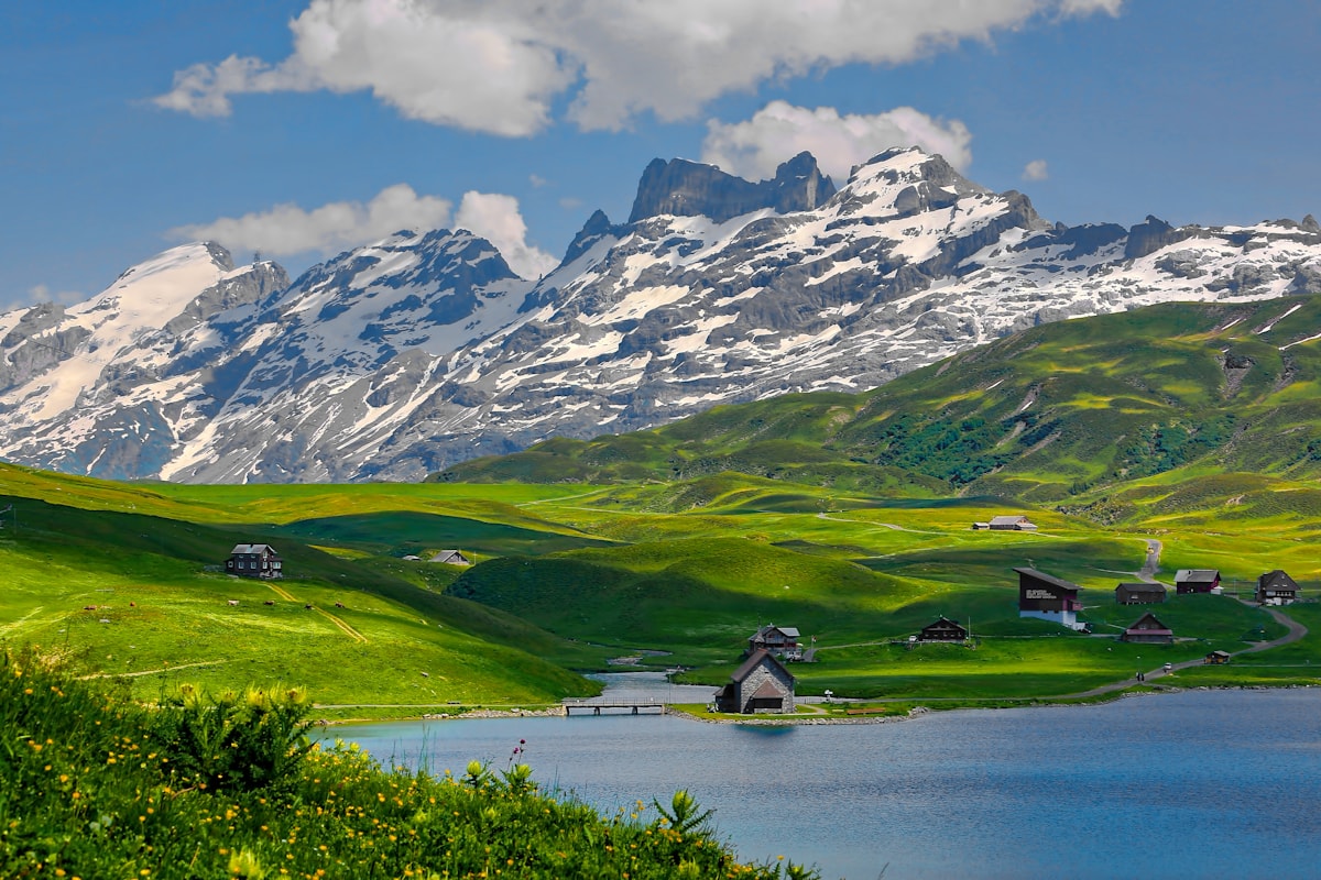 Safe-haven demand brings Swiss franc back into European portfolios